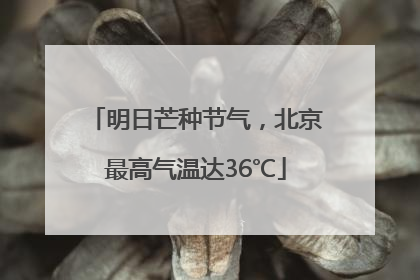 明日芒种节气，北京最高气温达36℃