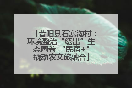 昔阳县石寨沟村：环境整治“绣出”生态画卷 “民宿+”撬动农文旅融合