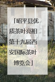 昭平县优质茶叶亮相第十九届西安国际茶叶博览会