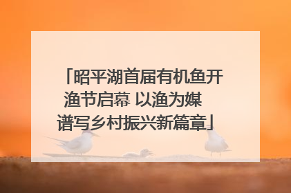 昭平湖首届有机鱼开渔节启幕 以渔为媒 谱写乡村振兴新篇章