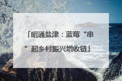 昭通盐津：蓝莓“串”起乡村振兴增收链
