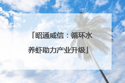 昭通威信：循环水养虾助力产业升级