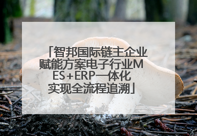 智邦国际链主企业赋能方案电子行业MES+ERP一体化实现全流程追溯