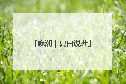 晚潮｜夏日说莲