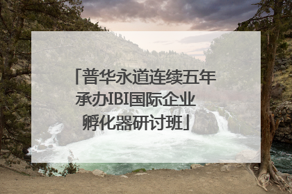 普华永道连续五年承办IBI国际企业孵化器研讨班