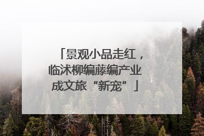 景观小品走红，临沭柳编藤编产业成文旅“新宠”