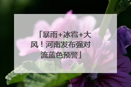 暴雨+冰雹+大风！河南发布强对流蓝色预警