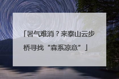 暑气难消？来泰山云步桥寻找“森系凉意”