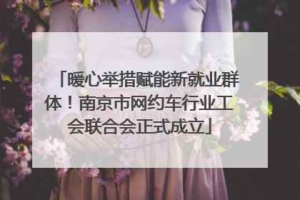 暖心举措赋能新就业群体！南京市网约车行业工会联合会正式成立