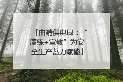 曲靖供电局：“演练+宣教”为安全生产蓄力赋能