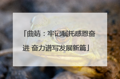 曲靖：牢记嘱托感恩奋进 奋力谱写发展新篇