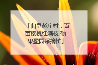 曲阜彭庄村：百亩樱桃红满枝 硕果盈园采摘忙