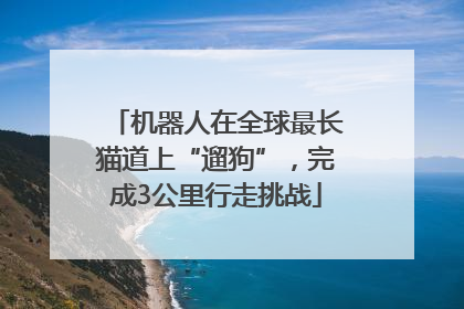 机器人在全球最长猫道上“遛狗”，完成3公里行走挑战