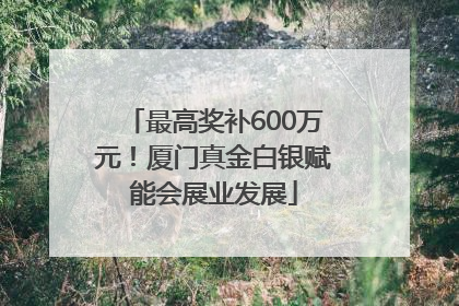 最高奖补600万元！厦门真金白银赋能会展业发展