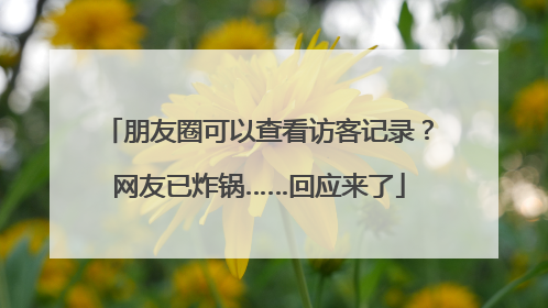朋友圈可以查看访客记录？网友已炸锅……回应来了