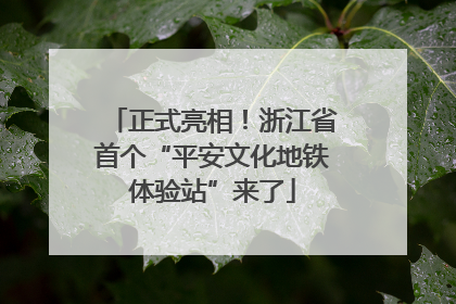 正式亮相！浙江省首个“平安文化地铁体验站”来了