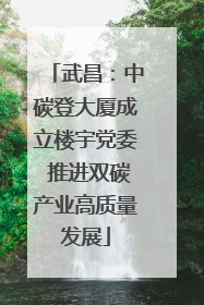 武昌：中碳登大厦成立楼宇党委 推进双碳产业高质量发展
