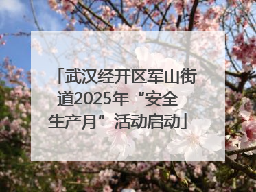 武汉经开区军山街道2025年“安全生产月”活动启动