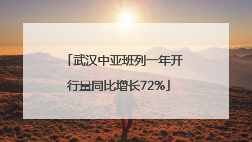 武汉中亚班列一年开行量同比增长72%