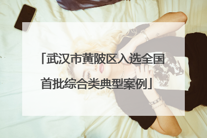 武汉市黄陂区入选全国首批综合类典型案例