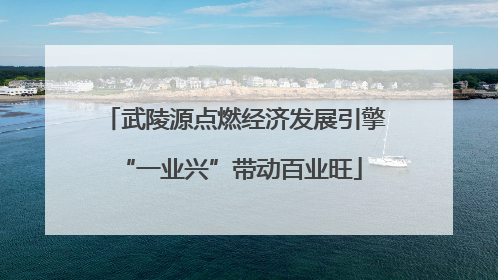 武陵源点燃经济发展引擎 “一业兴”带动百业旺