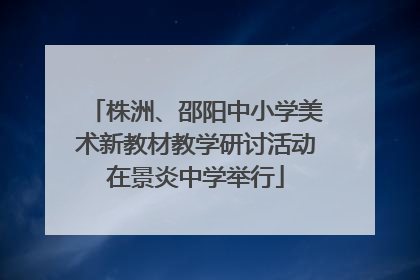株洲、邵阳中小学美术新教材教学研讨活动在景炎中学举行