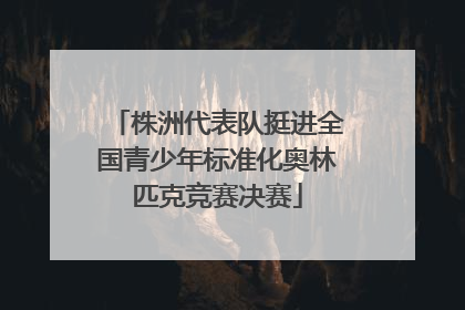 株洲代表队挺进全国青少年标准化奥林匹克竞赛决赛