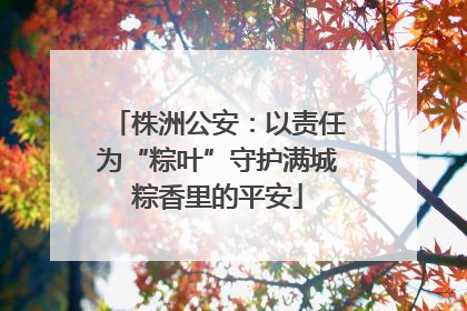 株洲公安：以责任为“粽叶”守护满城粽香里的平安