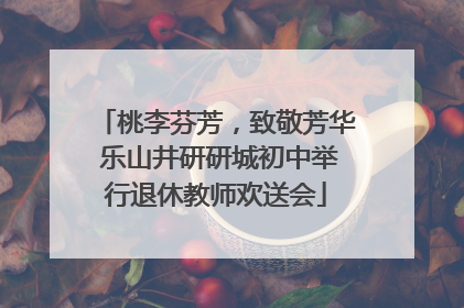 桃李芬芳，致敬芳华 乐山井研研城初中举行退休教师欢送会