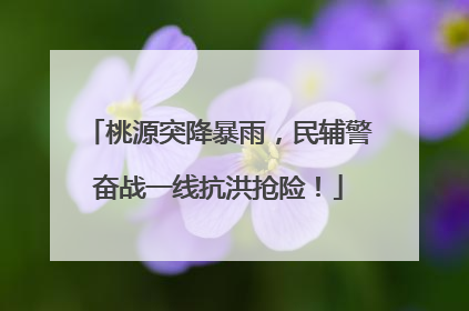 桃源突降暴雨，民辅警奋战一线抗洪抢险！