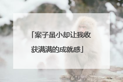 案子虽小却让我收获满满的成就感