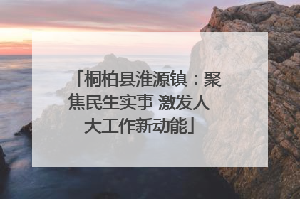 桐柏县淮源镇：聚焦民生实事 激发人大工作新动能