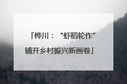 桦川：“虾稻轮作”铺开乡村振兴新画卷