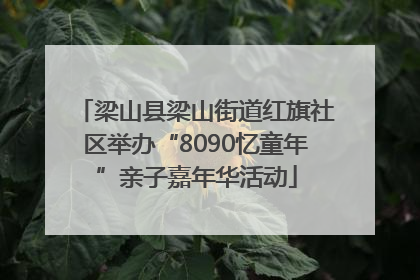 梁山县梁山街道红旗社区举办“8090忆童年”亲子嘉年华活动