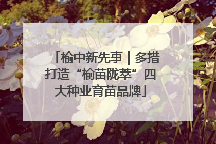 榆中新先事｜多措打造“榆苗陇萃”四大种业育苗品牌