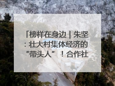 榜样在身边｜朱坚：壮大村集体经济的“带头人”！合作社经营收入三年内突破1200万元