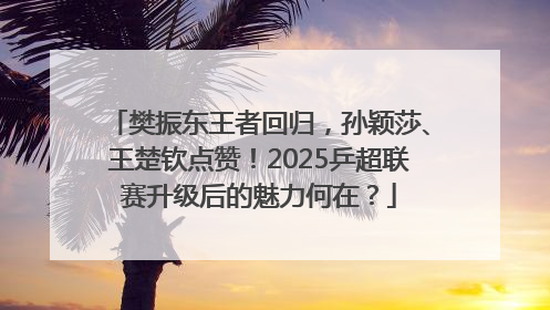 樊振东王者回归，孙颖莎、王楚钦点赞！2025乒超联赛升级后的魅力何在？