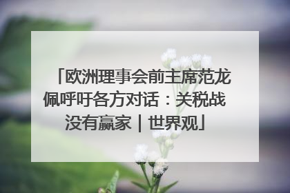 欧洲理事会前主席范龙佩呼吁各方对话：关税战没有赢家｜世界观