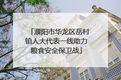 濮阳市华龙区岳村镇人大代表一线助力粮食安全保卫战