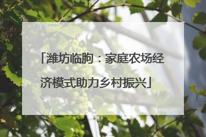 潍坊临朐：家庭农场经济模式助力乡村振兴