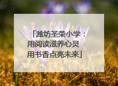 潍坊圣荣小学：用阅读滋养心灵 用书香点亮未来