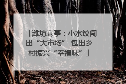 潍坊寒亭：小水饺闯出“大市场” 包出乡村振兴“幸福味”