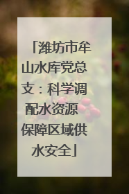 潍坊市牟山水库党总支：科学调配水资源 保障区域供水安全