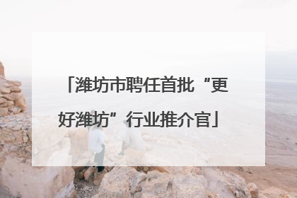 潍坊市聘任首批“更好潍坊”行业推介官
