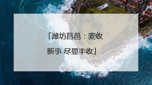 潍坊昌邑：麦收新事 尽显丰收