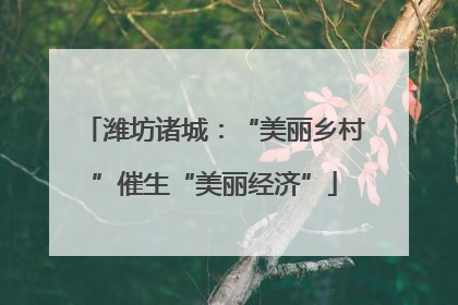 潍坊诸城：“美丽乡村”催生“美丽经济”