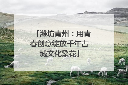潍坊青州：用青春创意绽放千年古城文化繁花