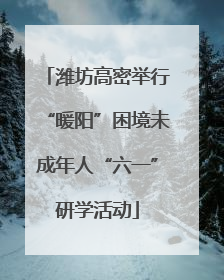 潍坊高密举行“暖阳”困境未成年人“六一”研学活动