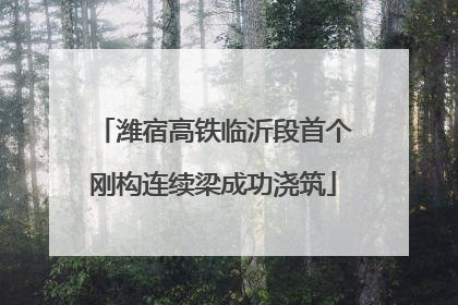 潍宿高铁临沂段首个刚构连续梁成功浇筑