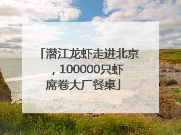 潜江龙虾走进北京，100000只虾席卷大厂餐桌